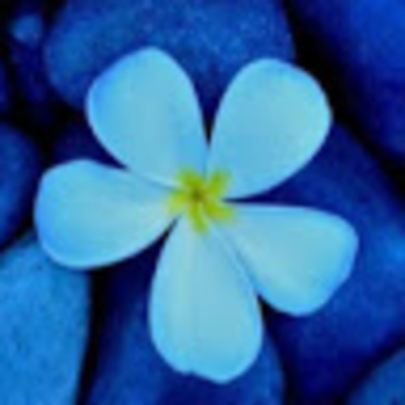 Meet your Posher, Fi - Picture 1 of 1